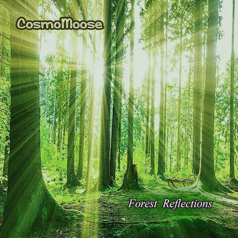 Forest Reflections