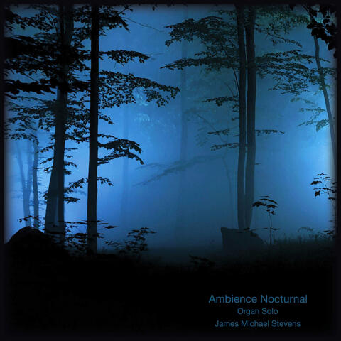 Ambience Nocturnal