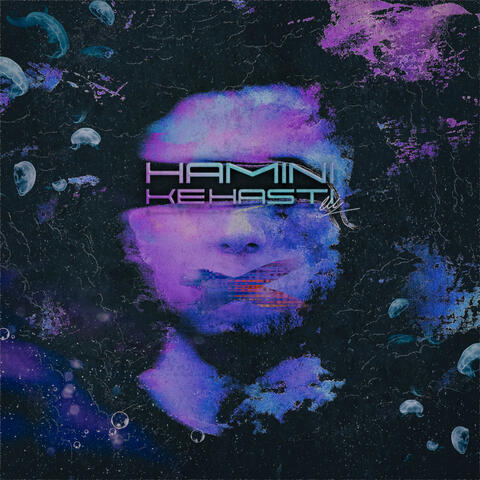 Hamini Ke Hasti (Vol.2)