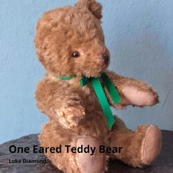 One Eared Teddy Bear