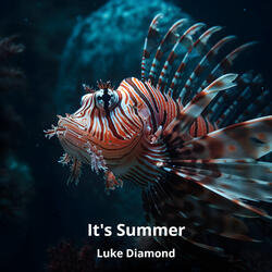 It's Summer
