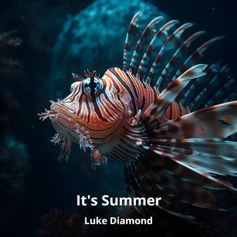 It's Summer