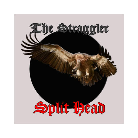 The Straggler