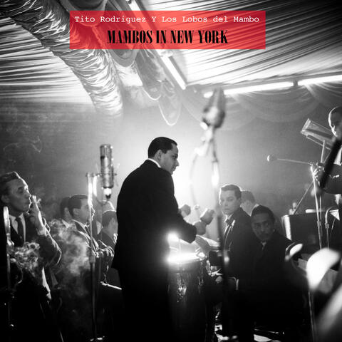 Mambos in New York