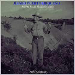 Mi Jibarita Mimada