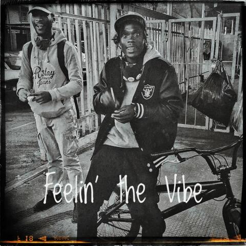 Feelin' the Vibe