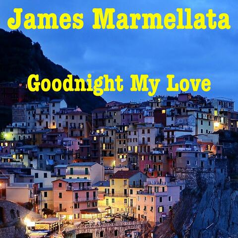 Goodnight My Love