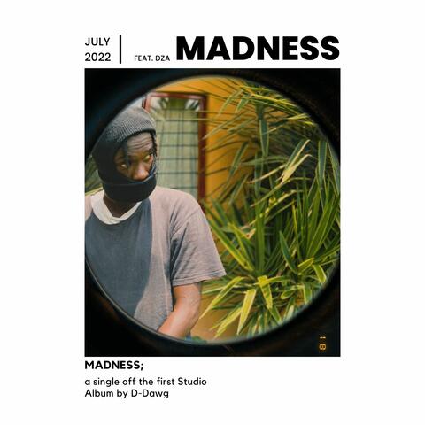MADNESS