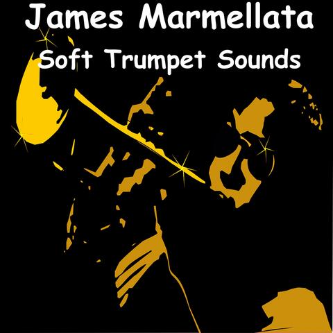 Soft Trumpet Sounds