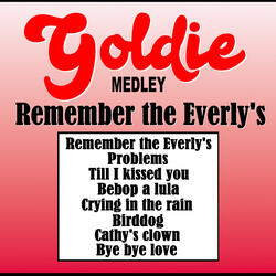 Remember the Everly´s: Problems / Till I Kissed You / Be Bop a Lula / Crying in the Rain / Birddog / Cathy's Clown ..