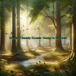Melodies of the Forest Symphony for the Soul