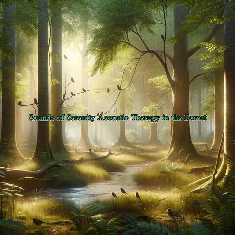 Sounds of Serenity Acoustic Therapy in the Forest