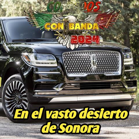 En el vasto desierto de Sonora