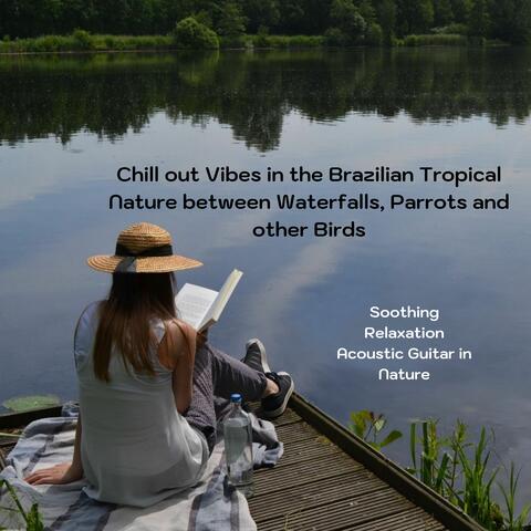 Chill Out Vibes in the Brazilian Tropical Nature Between Waterfalls, Parrots and Other Birds