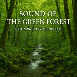 Sound of the Green Forest, Melody of Birds and Gentle River