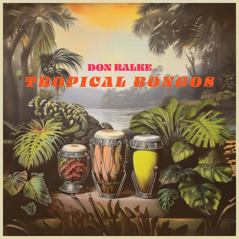 Tropical Bongos - Summertime Exotica with Don Ralke
