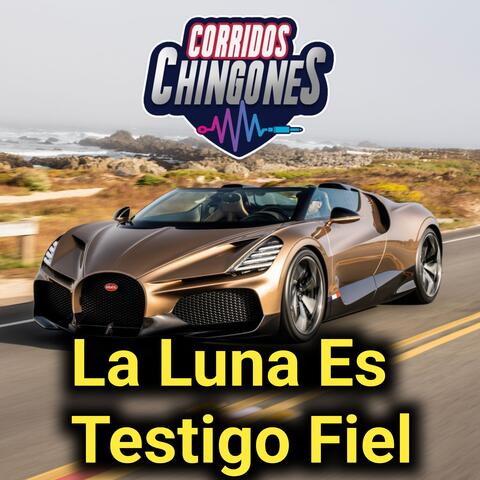 La Luna Es Testigo Fiel