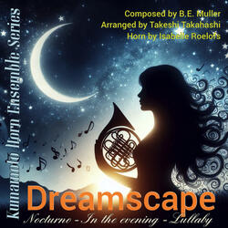 In the evening - Animato