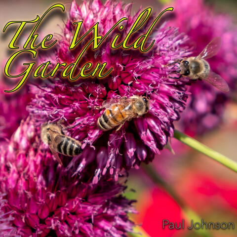 The Wild Garden