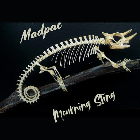 Mourning Sting