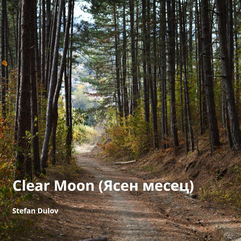 Clear Moon