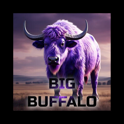 Big Buffalo (feat. Prod. Chef Seff)