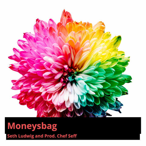 Moneysbag