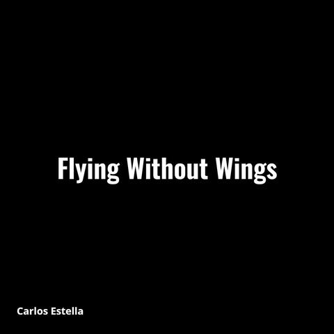 Flying Without Wings