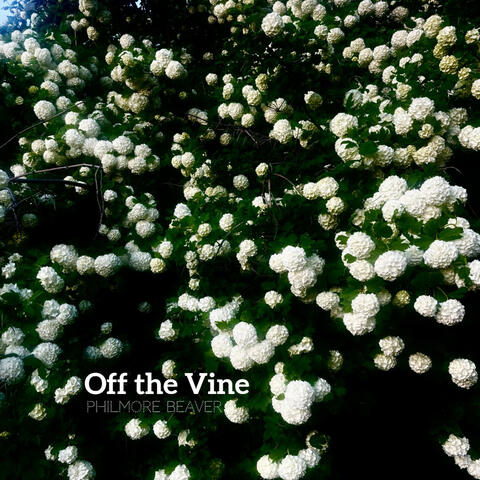 Off the Vine