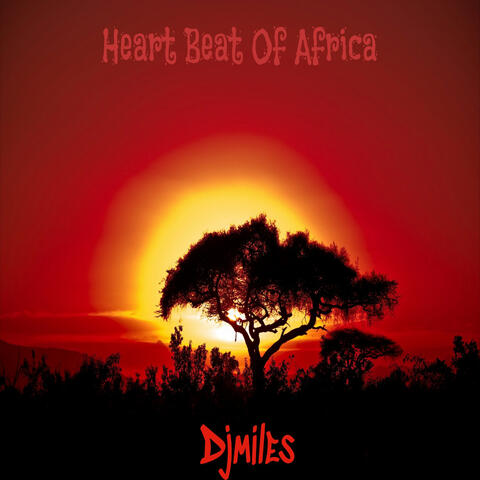Heartbeat of Africa