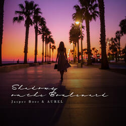 Shadows on the Boulevard (feat. Shadow Chime)