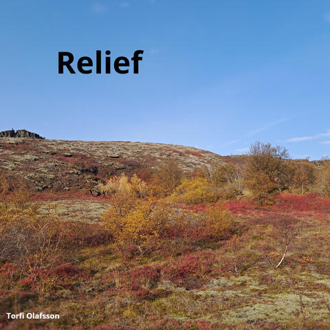 Relief