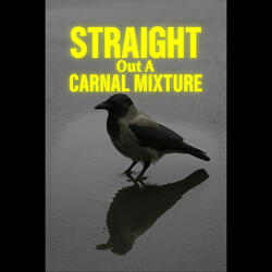 Straight out a Carnal Mixture