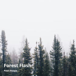 Forest Flash