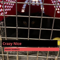 Crazy Nice