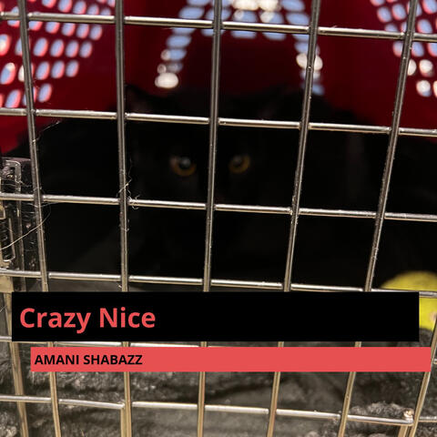 Crazy Nice