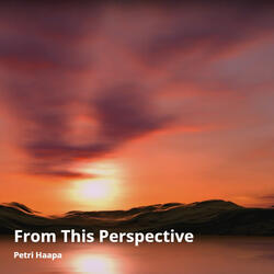 From This Perspective