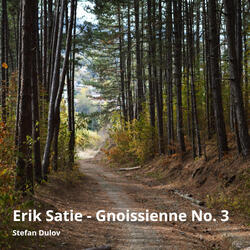 Erik Satie - Gnoissienne No. 3