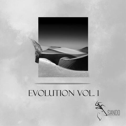 Evolution Vol. 1