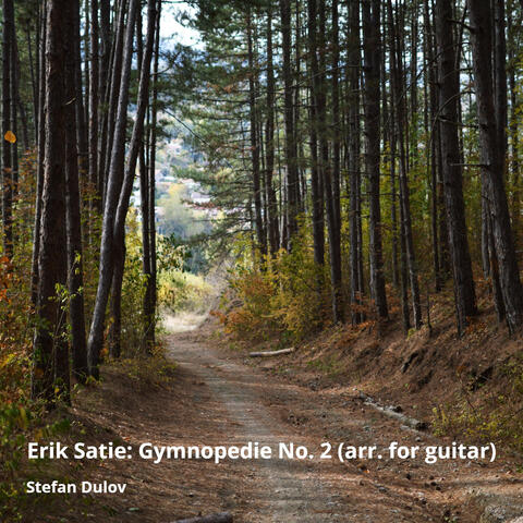 Erik Satie: Gymnopedie No. 2 (Arr. for Guitar)