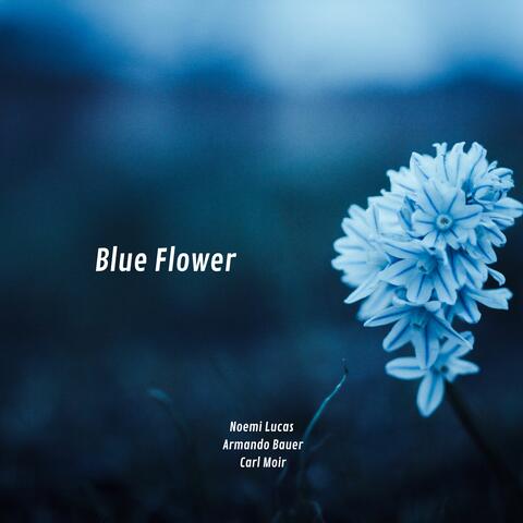 Blue Flower