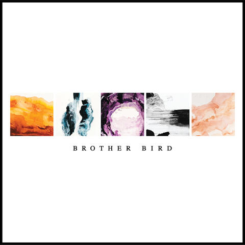 Brother Bird