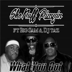 What You Got (feat. DJ Taz & Big Sam)