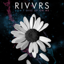 Don't Give up on Me