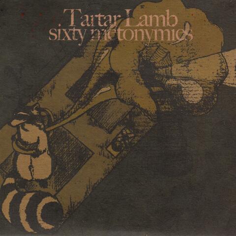 Tartar Lamb