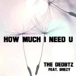 How Much I Need U (feat. BrĒzy)