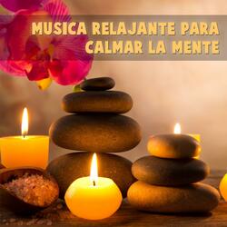 Activar la Glándula Pineal