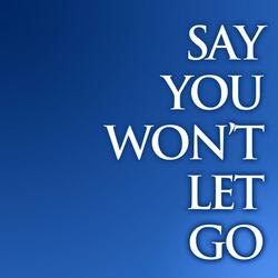 Say You Won't Let Go (Radio Edit)