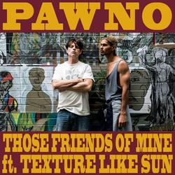Pawno (Those Friends of Mine) [feat. Natalija May & Texture Like Sun]
