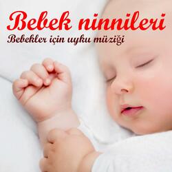 Oldukça küçük atı